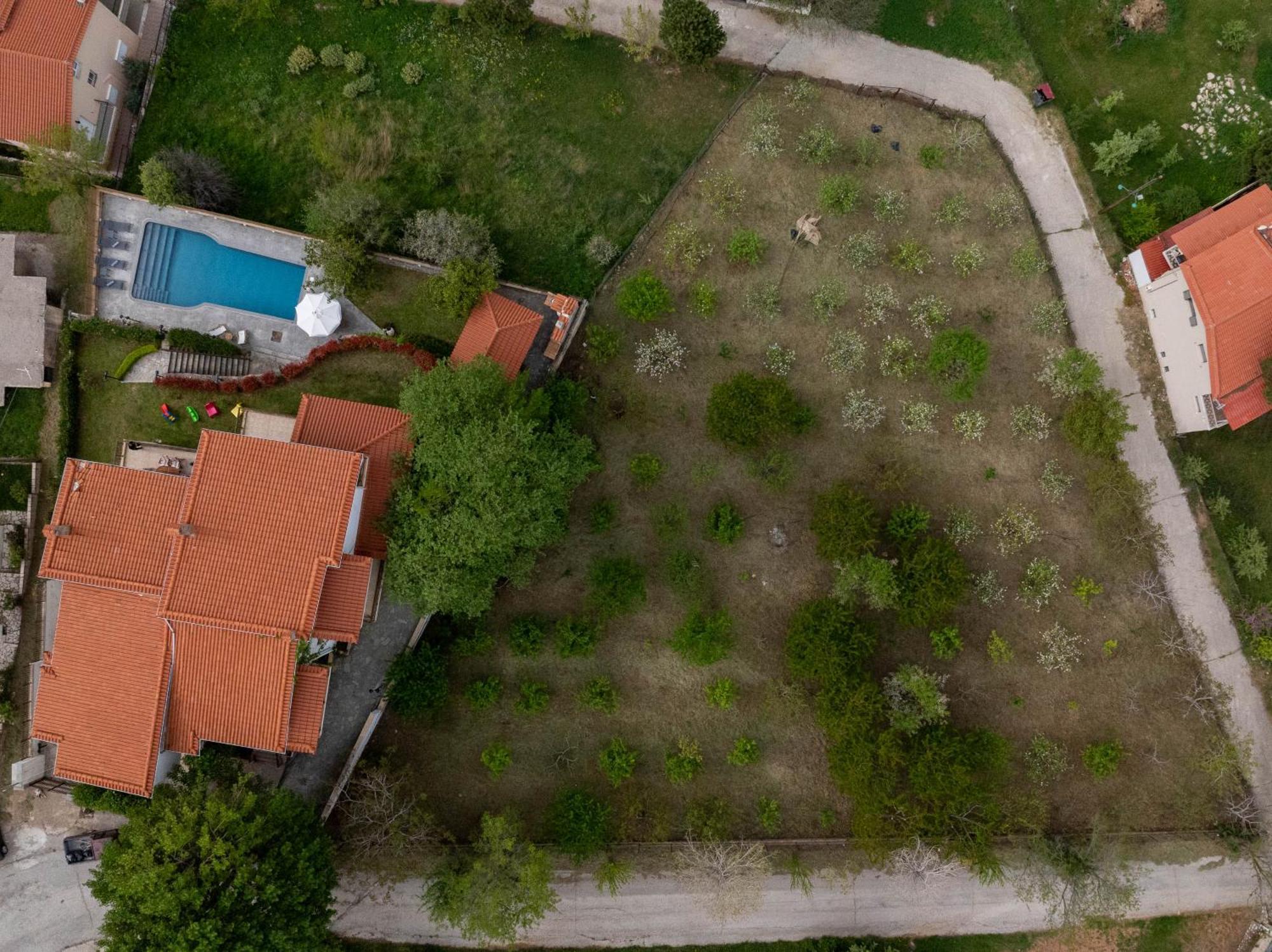 Traditional Luxury Villa Armonia Αίγιο Εξωτερικό φωτογραφία